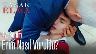 Erim vuruldu! - Yasak Elma 42. Bölüm