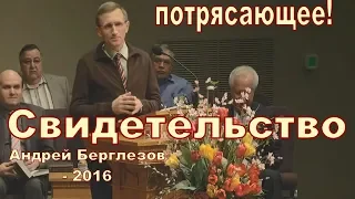 Свидетельство.  Андрей Берглезов 2016.