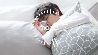 ♫ a soft bts playlist to help you sleep at night ♫