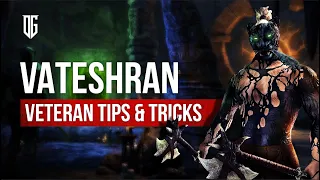 Veteran Vateshran Hollows Tips and Tricks