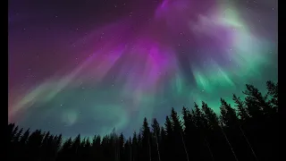 Самое красивое!!! Северное сияние 2022 года (The most beautiful Northern Lights of 2022)