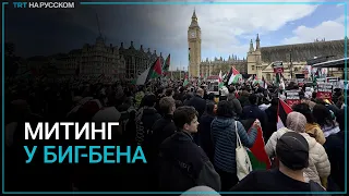 В Лондоне прошел многотысячный митинг в поддержку Палестины