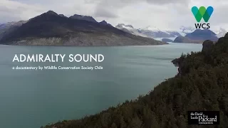 Admiralty Sound, a documentary by Wildlife Conservation Society