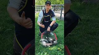 Рыбалка на Нижней Москва реке в черте города. Раздача леща. #fishing #feeder #рыбалка