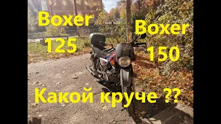 Boxer 125 или Boxer 150 ? Какой выбрать ??