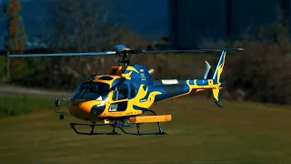 Ecureuil AS 350 RC Helicopter