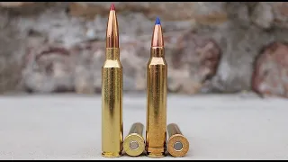 300 Precision Rifle Cartridge Full Profile | 300 PRC vs 300 Win Mag