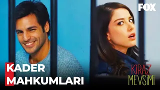 Ayaz ve Öykü'nün Nezaret Didişmeleri - Kiraz Mevsimi 28. Bölüm