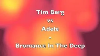 Tim Berg vs Adele - Bromance In The Deep