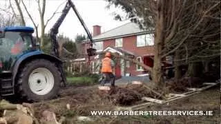 Tree Felling and Removal Barbers Tree Services