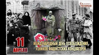 Международный день освобождения узников фашистских концлагерей