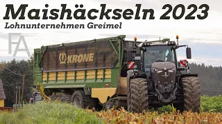 Lohnunternehmen Greimel in der Maisernte 2023! Krone Big X 1180, Fendt Vario 936 Gen. 7 uvm.