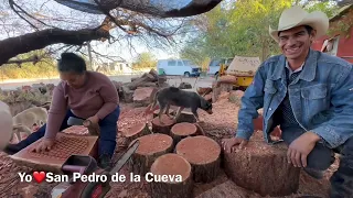 Elaboración de bateas de madera paso a paso por la familia Lucero Moreno