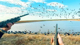 4 RAINOUTS 100+ GEESE ON TEXAS LOAF POND!!