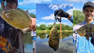 MAIS UMA PESCARIA CAIPIRA NO RIO PAJEÚ COM GRANDE VARIEDADE DE PEIXES