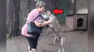 Recognizing the woman standing in front of him, the dog could not hold back his tears!