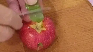 Выращивание яблони из яблока.