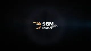 Шумоизоляция SGM Barrier Mix PROFI 9mm и SGM Stripe.