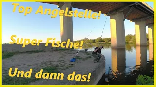 Angeln am Fluss / Flussmündung mit dieser Taktik fange ich am neuen Abschnitt #muldeangeln