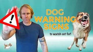 DOG WARNING SIGNS : Problem Dog Behaviour Developing [DOG LANGUAGE]