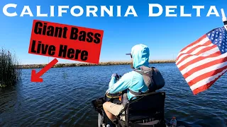 FROG FISHING California Delta | GIANT BASS