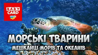 Двадцять морських тварин. Дітям про мешканців морів та океанів