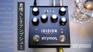 Strymon's high-quality and ultra-compact amp simulator / Strymon / IRIDIUM