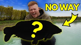 I BUILT A LAKE THEN CAUGHT THE BIGGEST FISH IN 24HRS