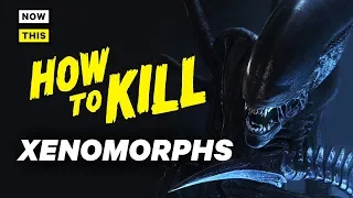 How to Kill Xenomorphs | NowThis Nerd