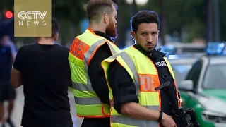 Munich shooting: Gunman’s spree linked to far-right terrorist, not ISIL
