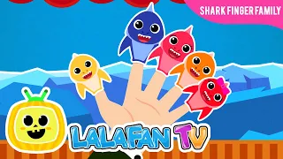 Baby Shark Family | Nursery Rhymes and Kids Songs by Lalafan TV