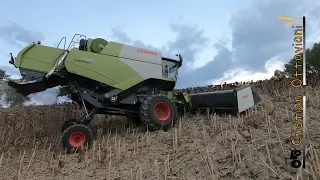 *EXTREME* Claas Tucano 430 Montana 4 + F.lli Zaffrani | Hillside Combine | Trebbiatura Girasoli 2018