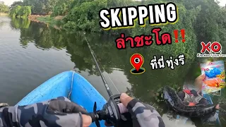 ล่าชะโด‼️ทุ่งรี #skipping #เต่ากระโดด #ชะโดคลอง #ตกปลาชะโด #ตกปลาด้วยเหยื่อปลอม #kofishinglure