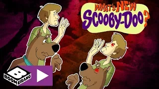 What's New Scooby-Doo? | The Gang Gets Cloned | Boomerang UK
