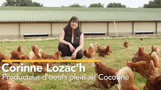 Corinne Lozac'h - Éleveuse poules plein air Label Rouge Cocotine à Carhaix (29)