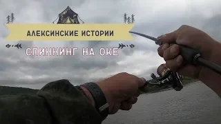 Алексинские истории.Рыбалка на Оке  Спиннинг