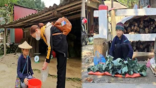 FULL VIDEO: the poor boy's days of harvesting agricultural products.