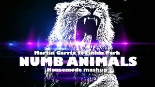 Martin Garrix ft. Linkin Park - Numb Animals (Housemode Mashup)