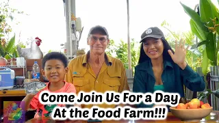 Saturdays At The Solar Food Forest | MTGA 2023