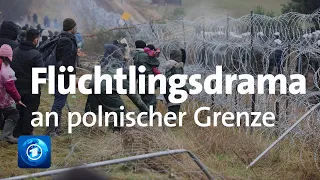 Flüchtlingsstreit mit Belarus: EU fordert weitere Sanktionen