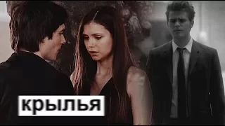 Stefan & Elena & Damon || Крылья