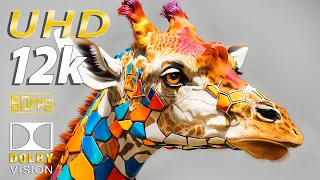 Mystical Animal World - 12K HDR (60FPS) Dolby Vision - With Nature Sounds (Colorfully Dynamic)