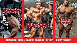 Urs Kalecinski Looks HUGE + Hadi Choopan 4 Weeks Out + NeckZilla 6 Weeks Out From Switch to NPC