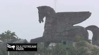 Gulfstream Park Replay Show | January 16, 2022