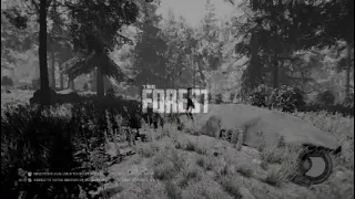 The forest Ep 1 - The beginning