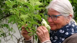 Am Käse führt kein Weg vorbei: Land & Leute Blaichach