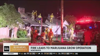 Northridge house fire leads police to marijuana growing operation