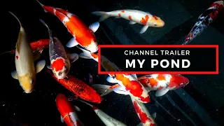 My Koi Sleeper pond | Easy Pod Filter Channel Trailer