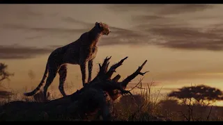 Lion king 2   The simba REBORN official trailer  (2020)...720p