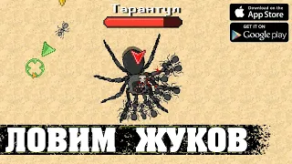 ЛОВИМ ЖУКОВ - Pocket Ants: Симулятор Колонии